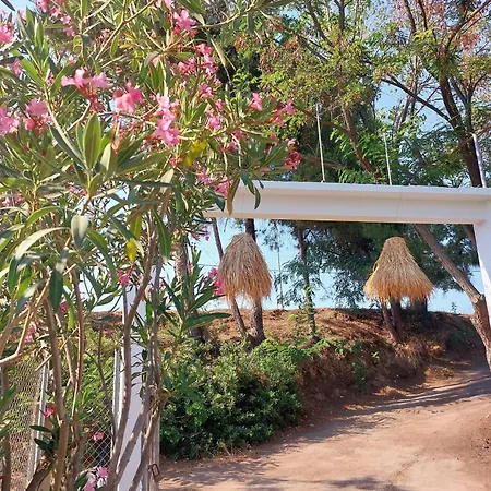 Apartment Access